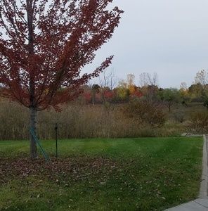 Meet your Posher, Xiong